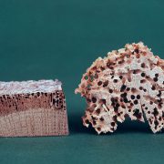 Les petites vrillettes creusent des galeries dans les éléments de bois qui peuvent être fragilisés et rompre.
